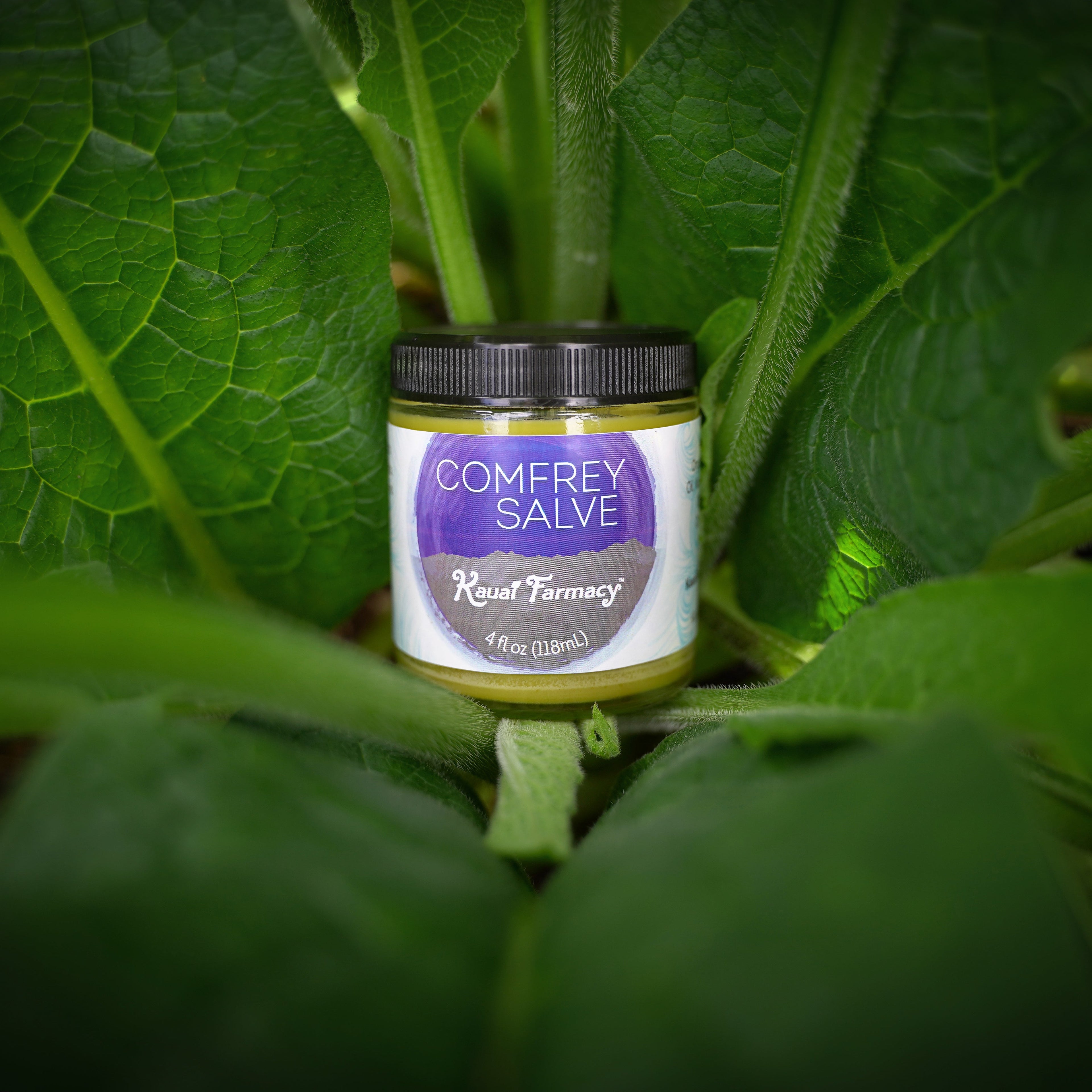 Comfrey Salve