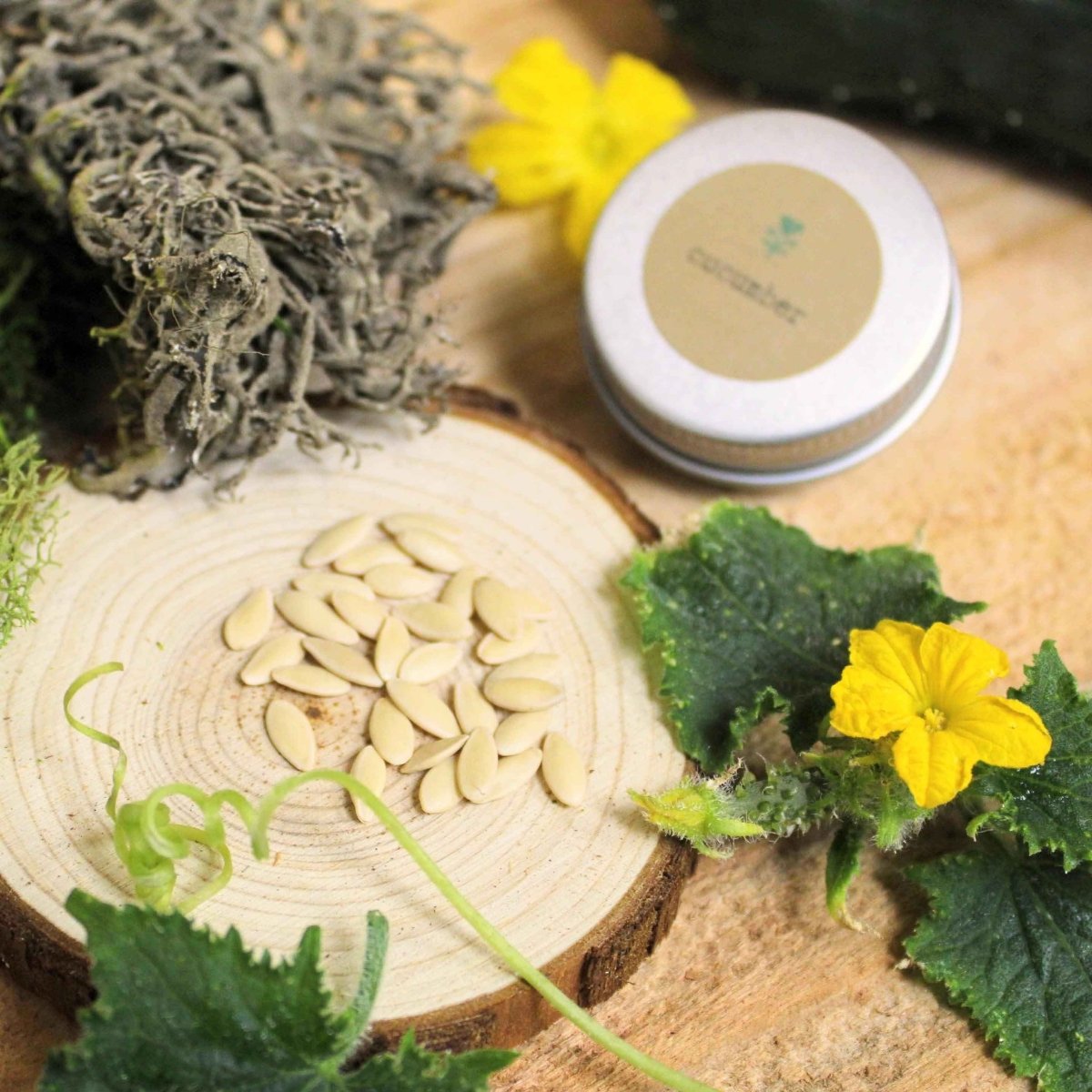 Organic Cucumber Seeds
